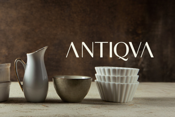 antiqva-viseu_mariananodigital